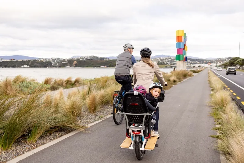 a bike lane in wellington