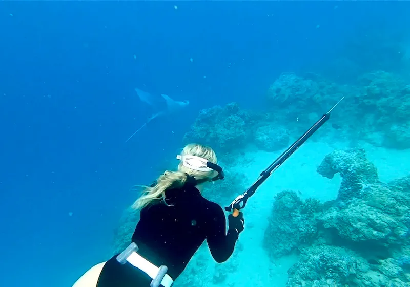A person in a wetsuit and snorkel aims a speargun underwater near a coral reef as a large ray swims in the distance.