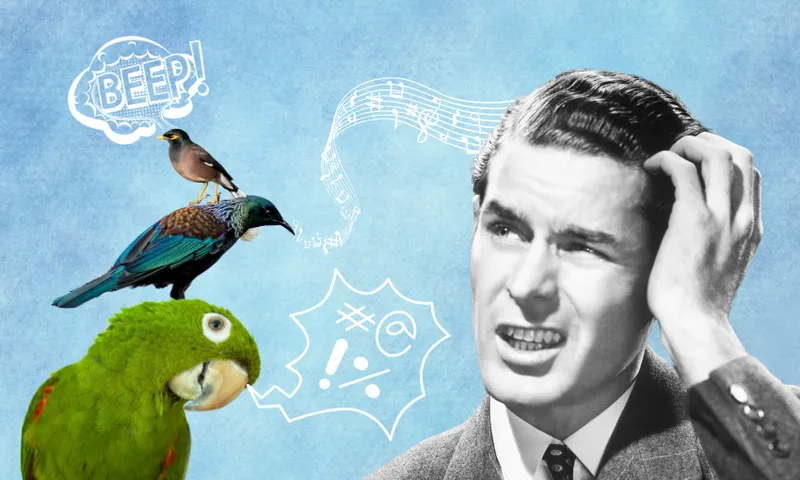 A confused man scratches his head while three birds near his head make cartoon speech and music bubbles, including beeping and symbols for swearing, against a blue background.
