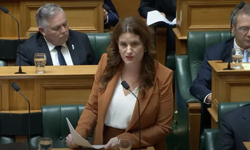 Nicola Willis speaks in the House, pointing to her notes.