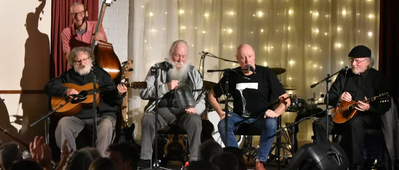 a groupd of folk musicians on stage