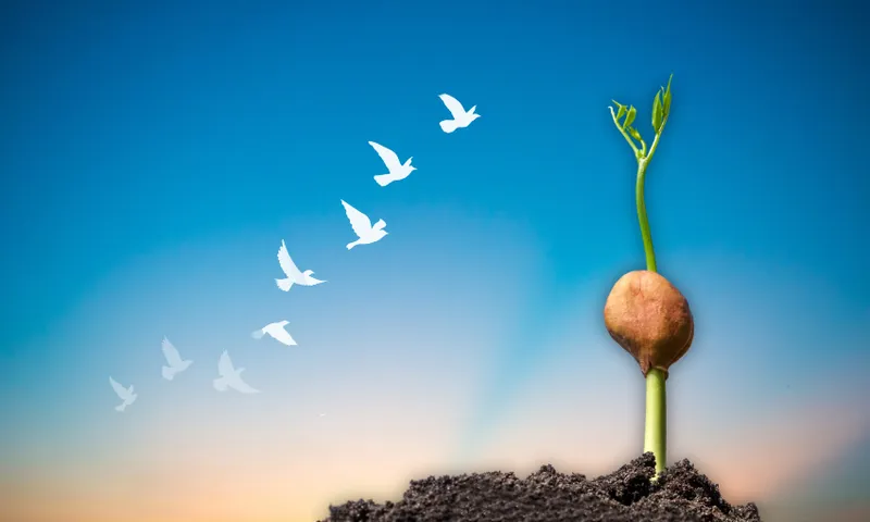 A small seedling sprouting from soil under a clear blue sky, with silhouettes of white birds flying upward in the background.