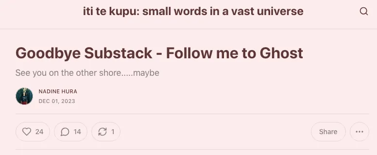 Nadine Hura's final Substack dispatch.