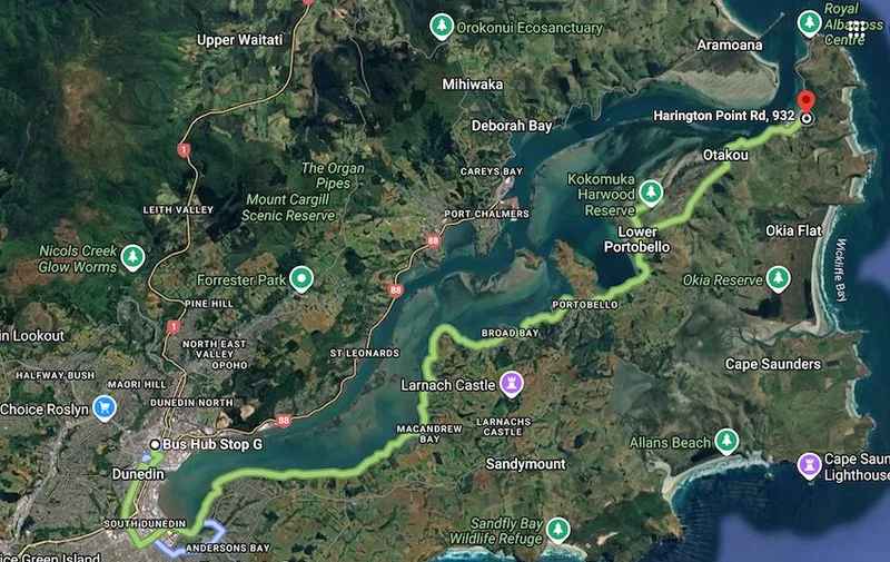 A screenshot of Google Maps showing the route of the #18 bus from Dunedin bus hub to Harington Point