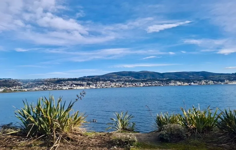 The city of Dunedin as seen from Portobello Road in Dunedin