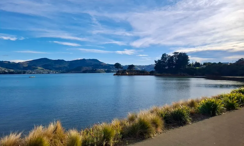 A scenic image of Otago peninsula, with grass and footpath in the foreground and the sea and hills in the background