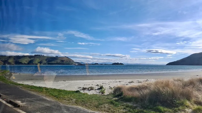 A photo of Harington Point Beach, with the Otago peninsula in the background