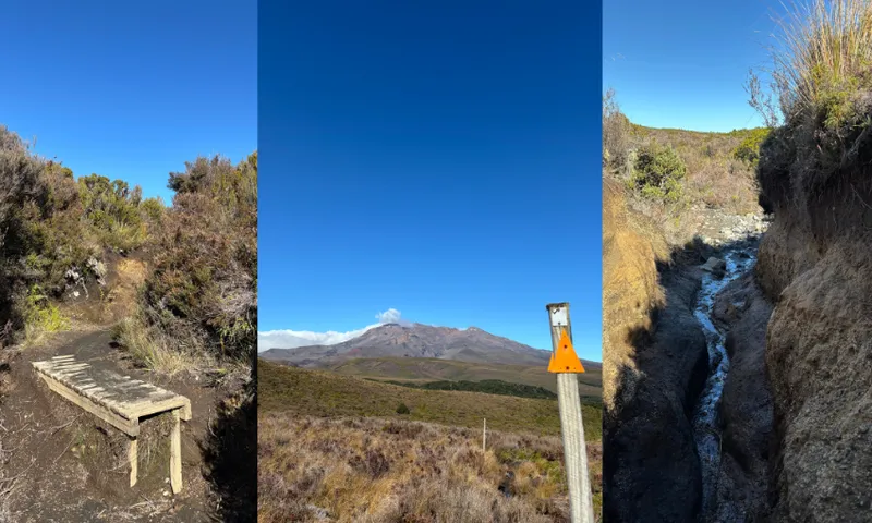 three recent images showing a muddy, overgrown track