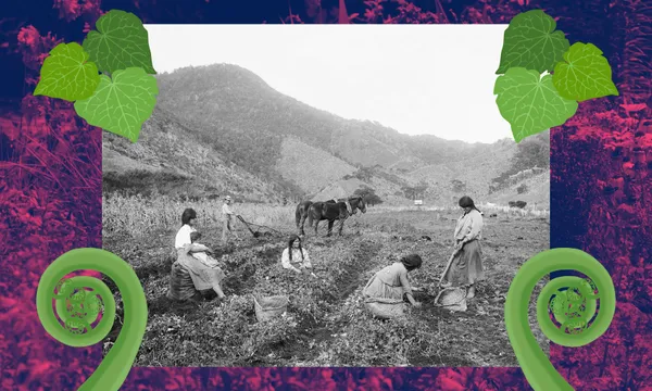 Black-and-white photo of people harvesting crops in a field with mountains in the background, bordered by green leaves and fern spiral graphics on a colourful, textured frame.