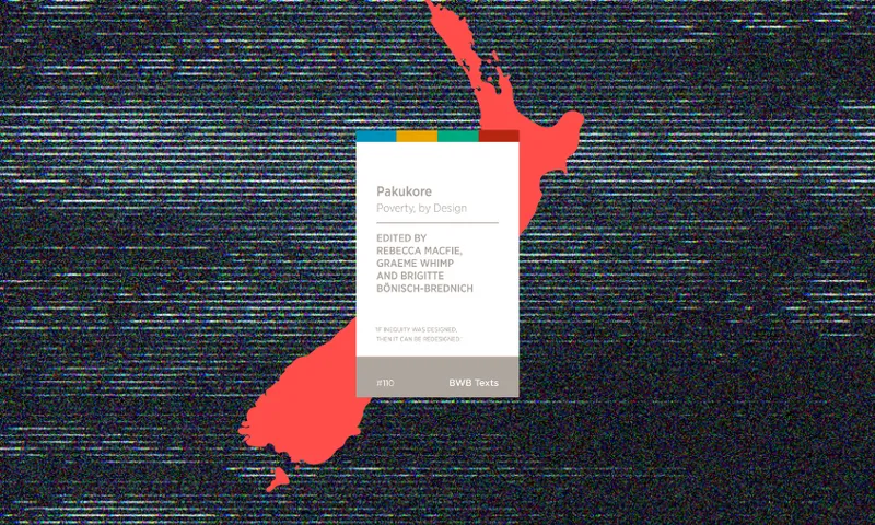 Disability-and-Poverty-in-NZ.png