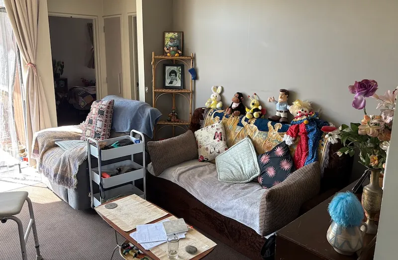 A small lounge with brown couch, arm chair, and an array of photo frames and soft toys