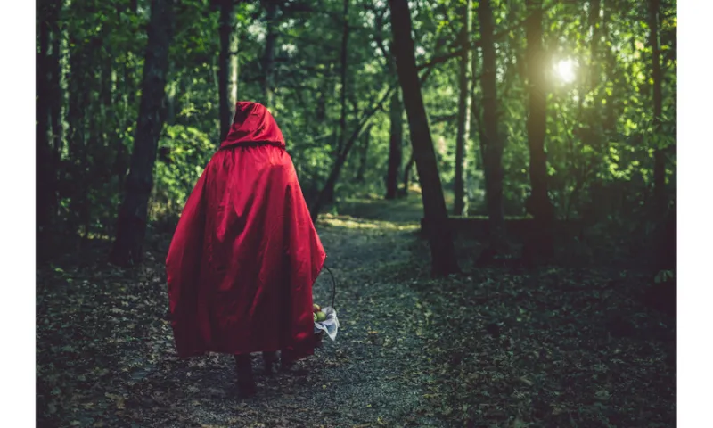A photograph of a person wearing a red hooded cloak and walking through a forest.