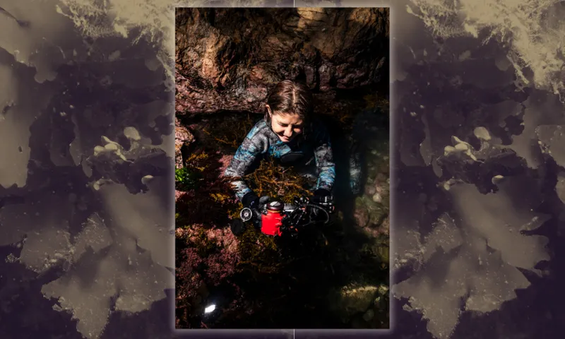 a sepia tinged photo of seaweed and a diver with a red container