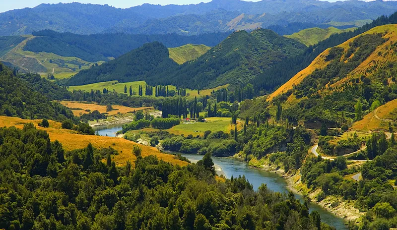 An aerial image of Whanganui National Park.
