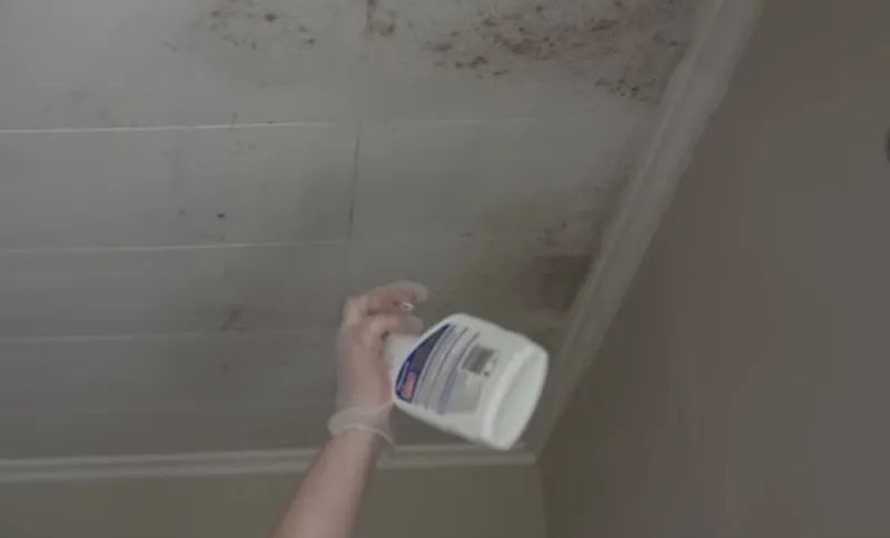 mould