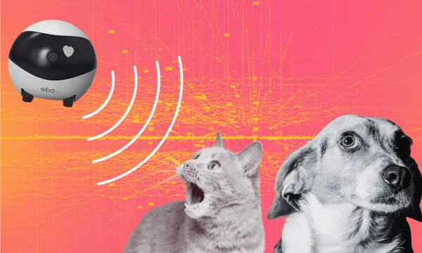 A surprised cat and a curious dog look at a small round robot emitting sound waves, against a pink and orange digital background.