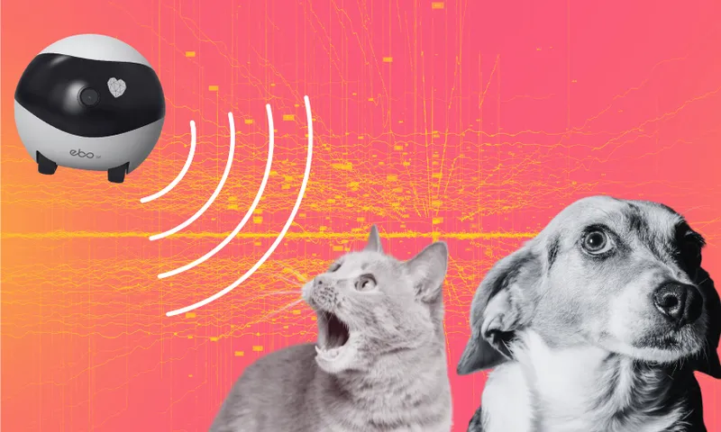 A surprised cat and a curious dog look at a small round robot emitting sound waves, against a pink and orange digital background.