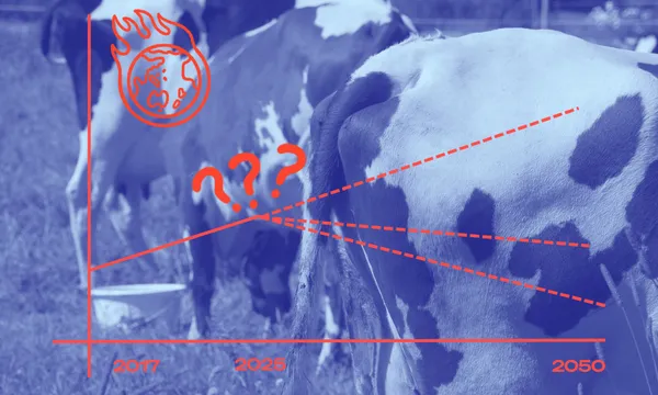 a blue background of cows with a red graph representing methane
