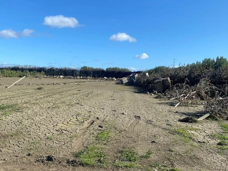 A silt covered field in the Hawkes Bay.