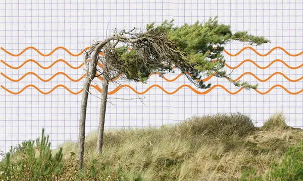 a grid background with wavy lines and a tree being blown apart