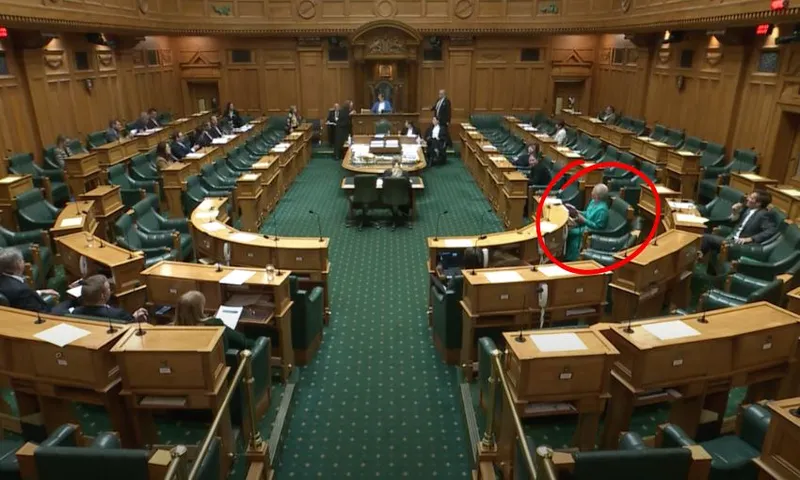 A screenshot from Parliament TV showing a full view in the House, with a red circle highlighting where Marama Davidson is sitting.