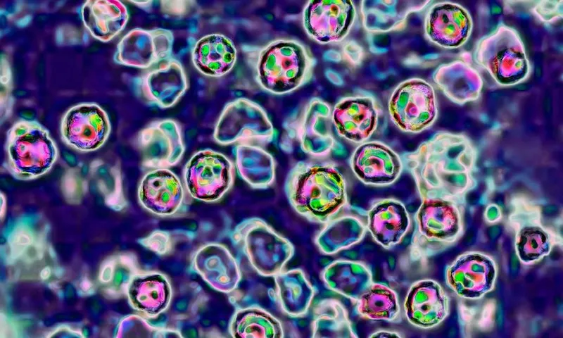 Measles Virus