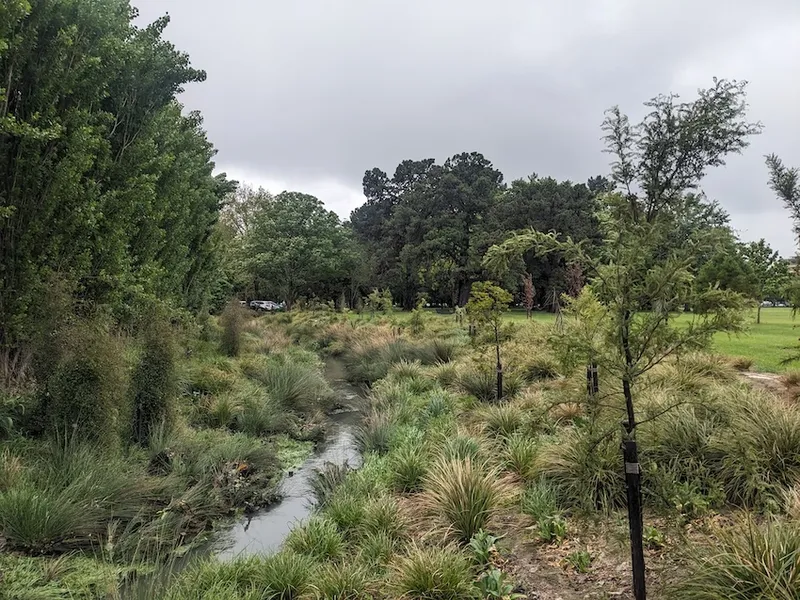 a stream under a cloudy sky with lots of dark greens and yellows of NZ native tussocks, flax and trees with the vibrant green of a turf at the edge