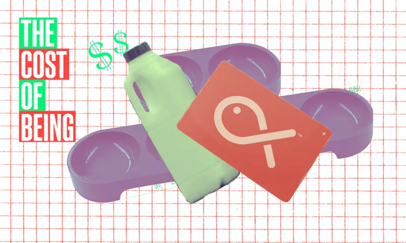 COB-nov-4.png