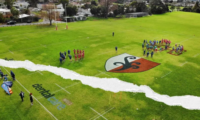 Kelston Boys field