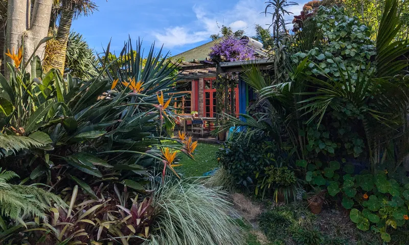 Heavy shrubs and plants obscure the Hanly house, made from brick