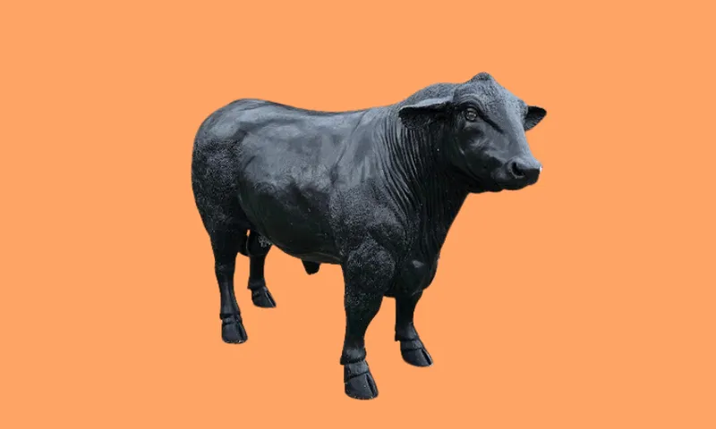A black statue of a bull stands on an orange background, facing slightly to the right. The sculpture captures realistic muscular details and textures.