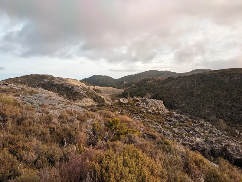 a knobbly landscape of tussocks and small trees with some vare earth of a paused coal mine visible