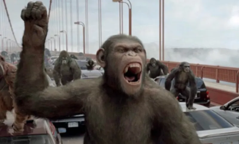 A still from Kingdom of the Planet of the Apes featuring an angry looking chimp on Golden Gate Bridge