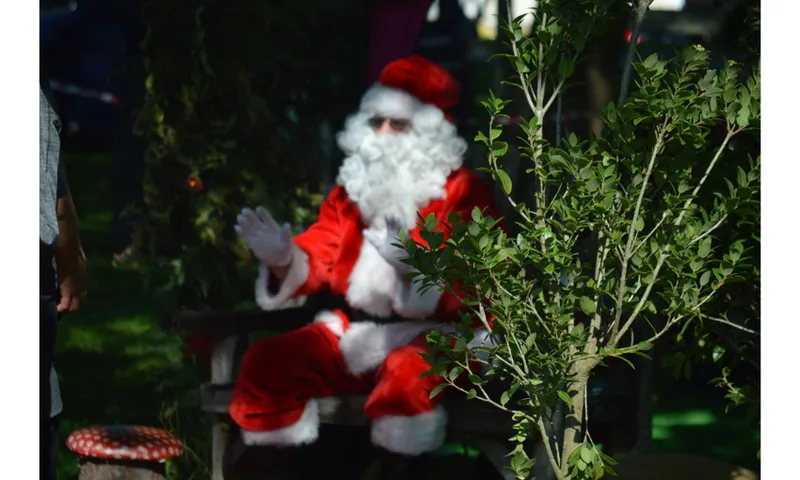 A santa claus among the trees.