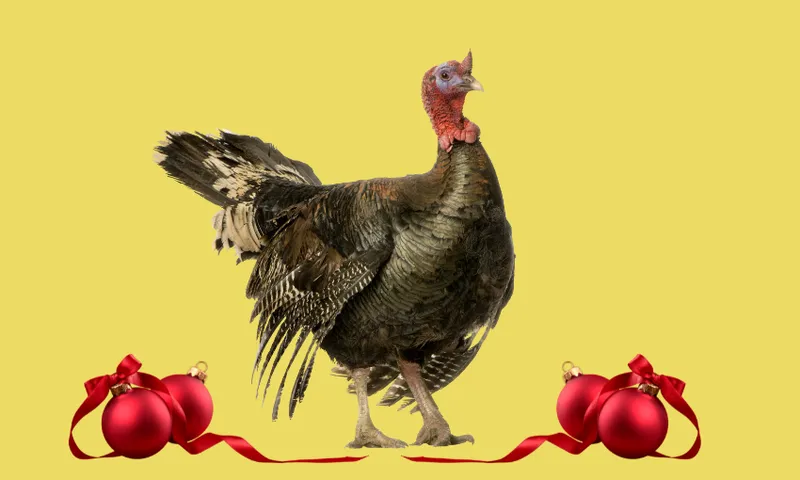 A turkey alongside Christmas baubles