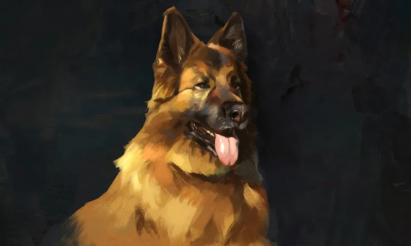 a painted portrait of Scout, a 12 year old German Shepherd, with her tongue out against a black background