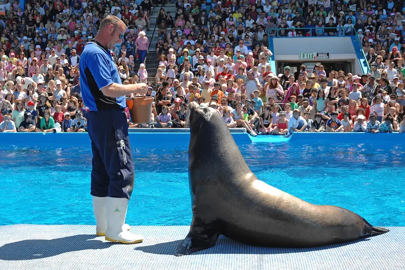 Marineland of New Zealand, Napier - Archive Photos