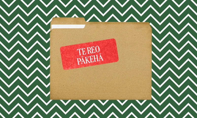 FeatureImage_TeReoPakeha.png