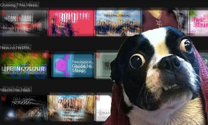 streaming