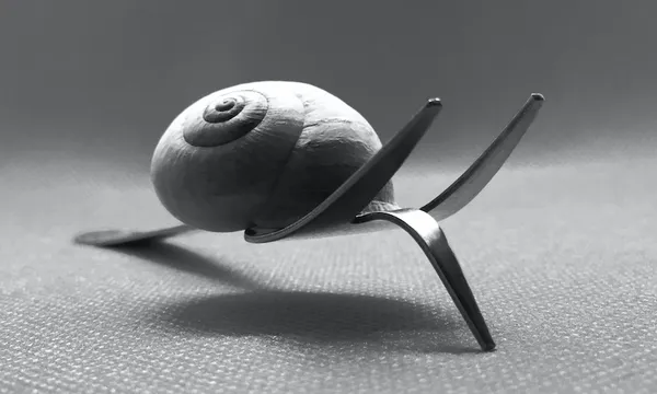 forksnail.jpg