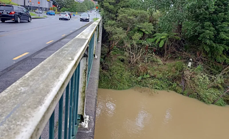 Floodwater in the Waikumete stream.