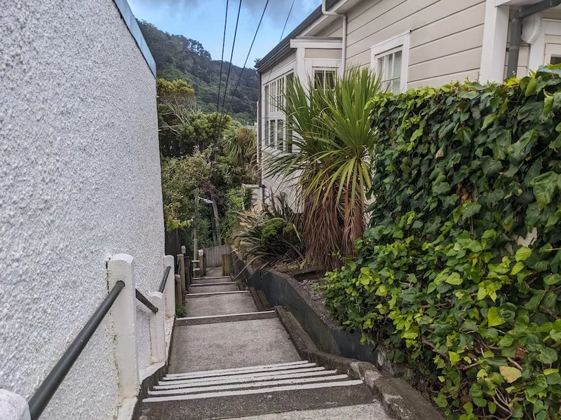 stee stairs going down between houses near wellington motorway