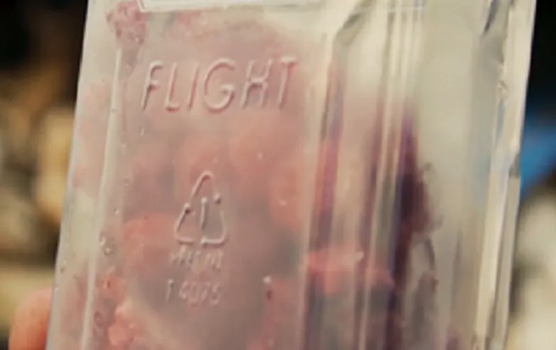 a plastic recycling code 1 on a piece of clear plastic