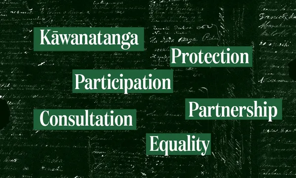 Treaty-Principles.png