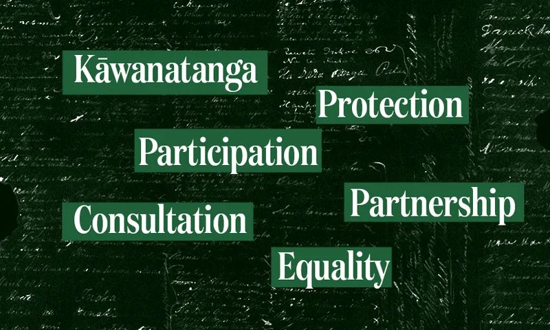 Treaty-Principles.png