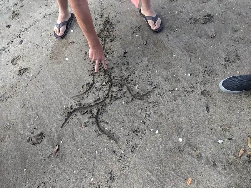 a jandalled mand draws a wiggly line in the sand