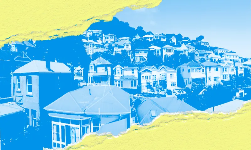 WFW_WellingtonHouses.png