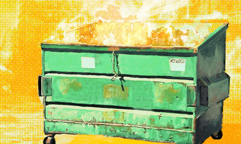 dumpster-on-fire.png