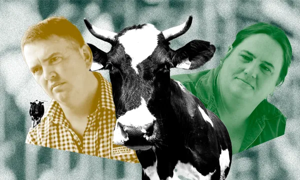 ASBN_COWCOWCOWS.png