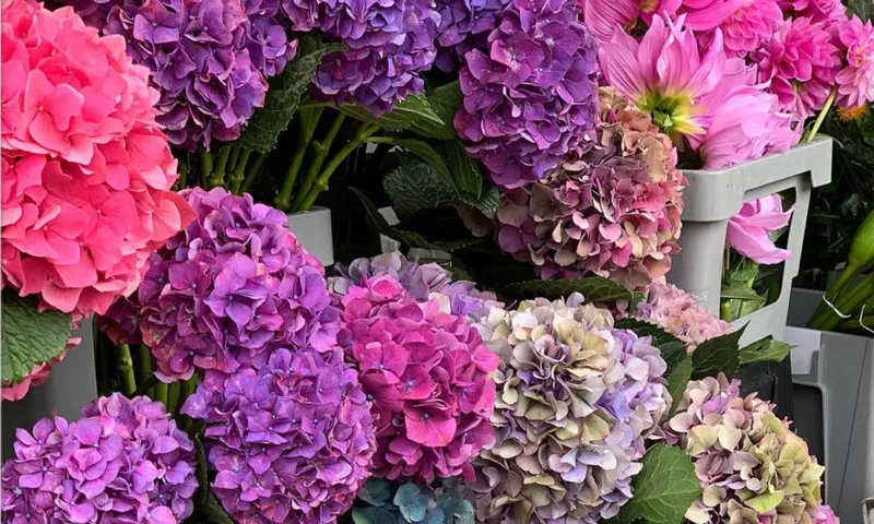 big bunches of flowers